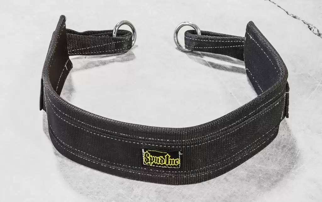 Belt Squat Belt - Image 2