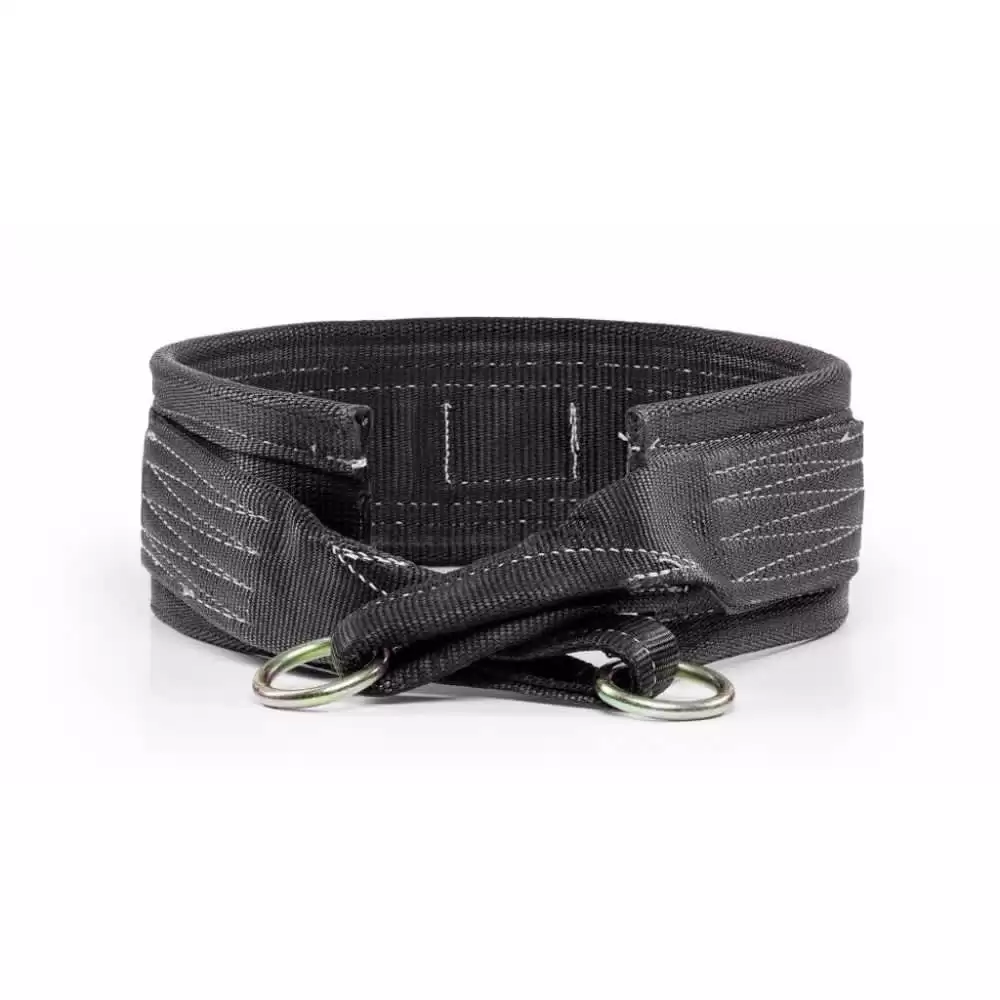 Belt Squat Belt - Image 4