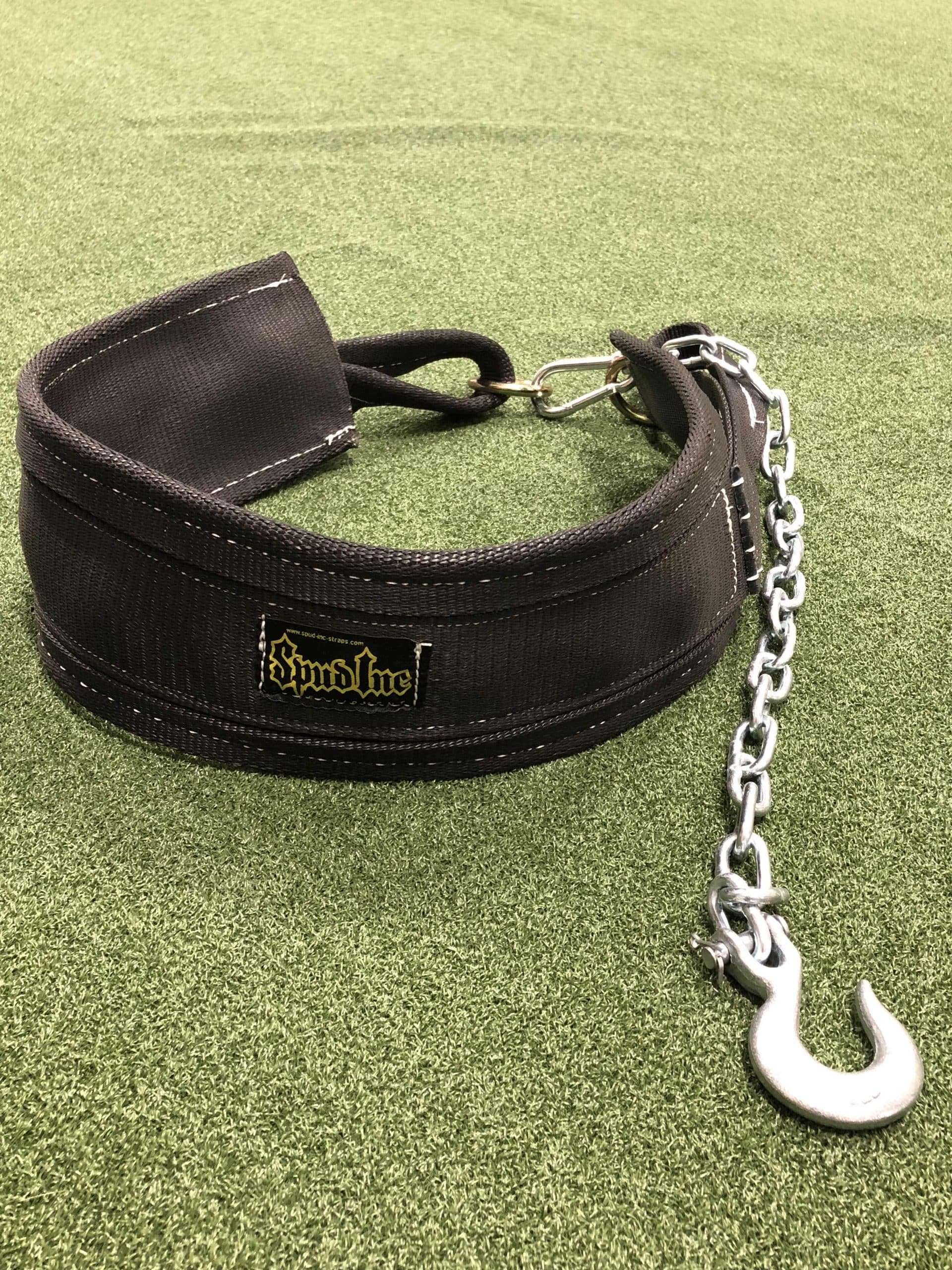 Belt Squat Belt - Image 6