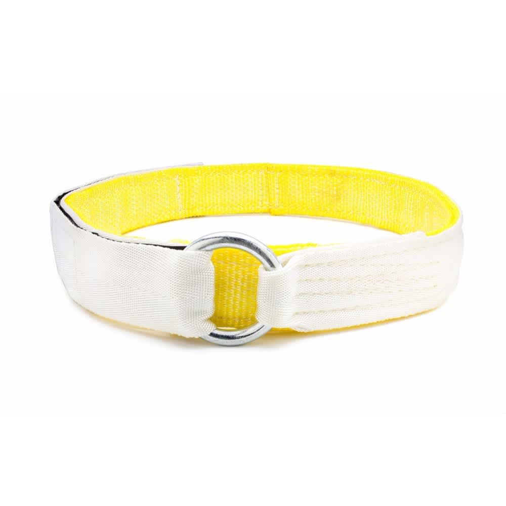 Bench Belt - Image 5