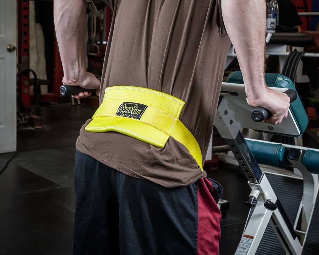 Dip Belt - Image 3