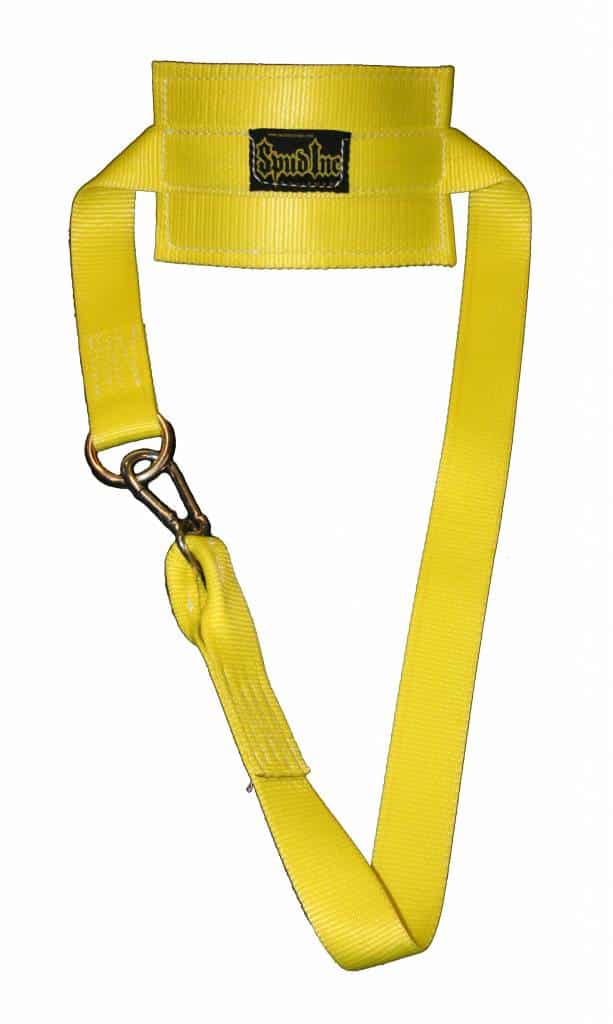 Dip Belt Chainless - Image 2
