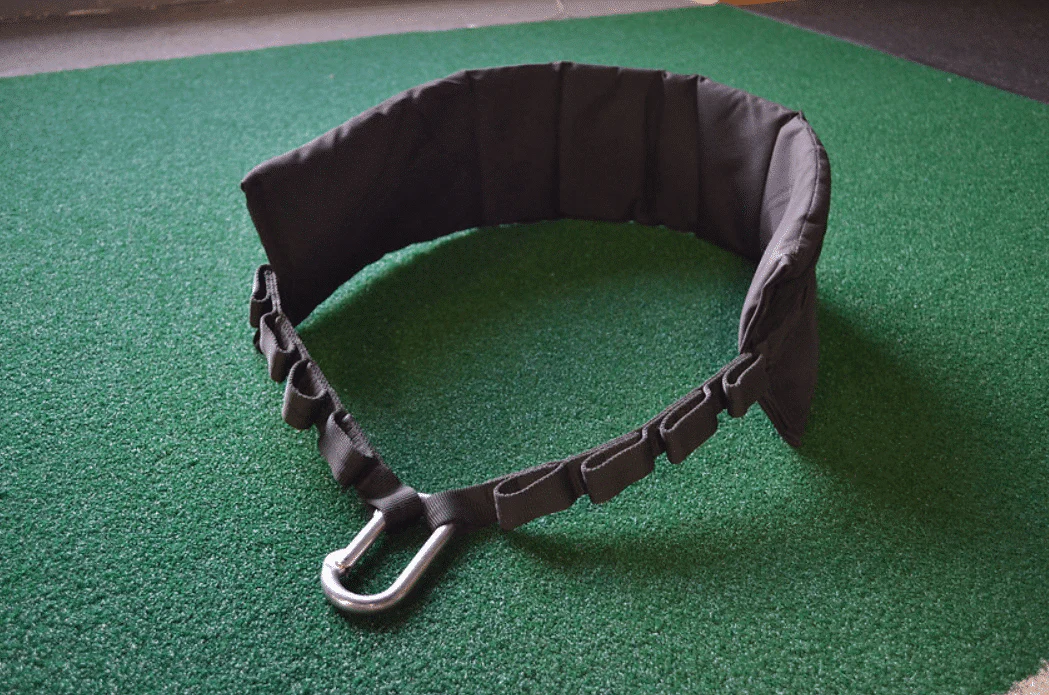 Hip Belt For Henny Attachment and Squatmax - Image 2