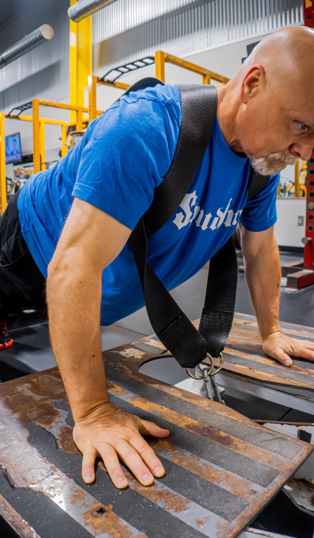 Push-Up Harness - Image 4